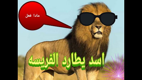 اسد يقفز عاليا