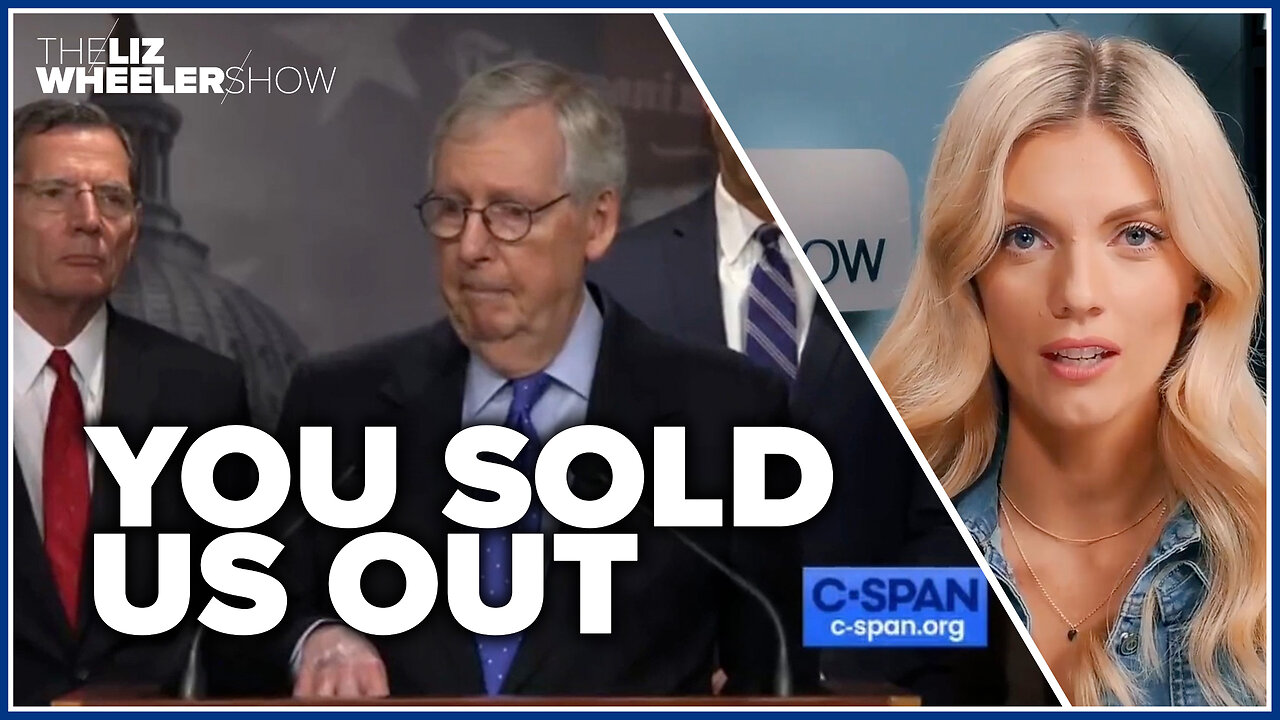 DISAPPOINTING: GOP squishes re-elect Mitch McConnell