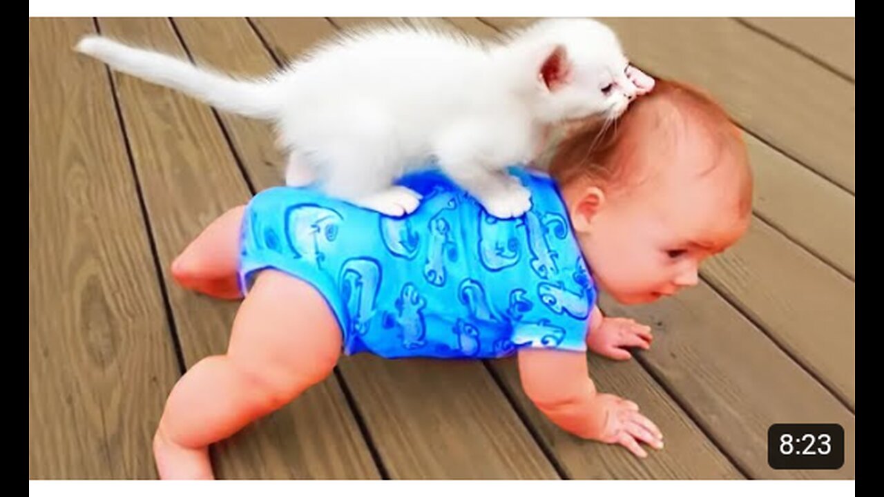 What Happends When Cute Cats Takes Care of Baby || Cool Peachy