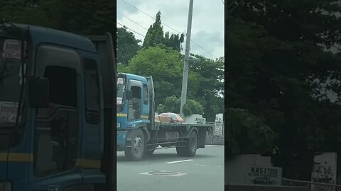 Jeepneys Are So Filipino 🥵#shorts #short #shortsvideo #shortvideo #philippines