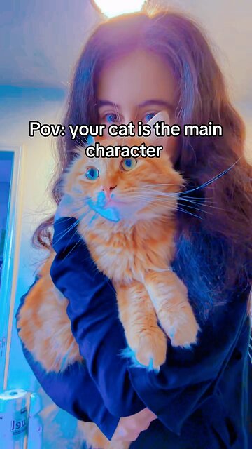 #fypシ #fypシ゚viral #cat