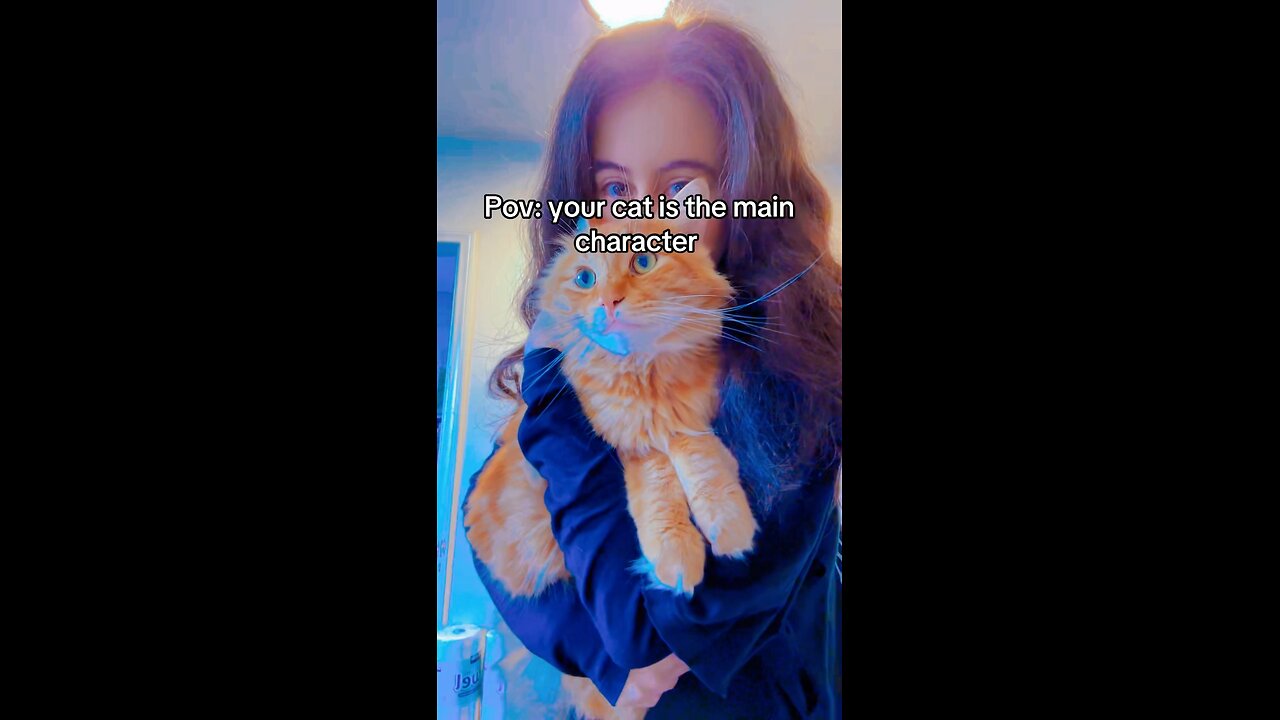 #fypシ #fypシ゚viral #cat