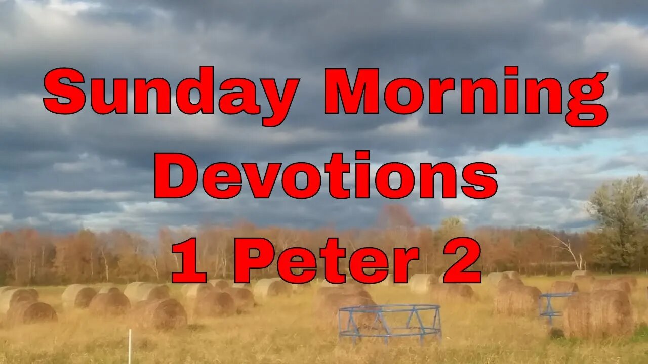 Sunday Morning Devotions 2 - 2 Peter 2 | Small Family Adventures