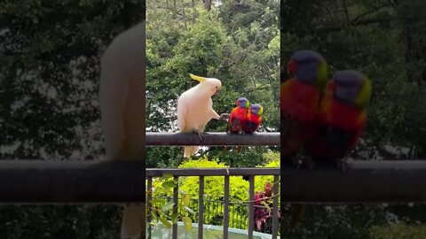"Can I touch it?"
