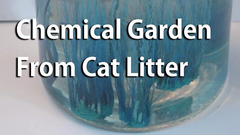 Make a Chemical Garden From Cat Litter, Drain Opener, and Root Killer