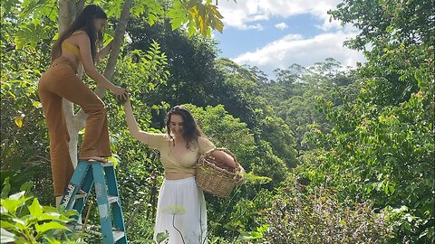 The Abundant Beauty of Summer: Cooking and Foraging From our Permaculture Food Forest 