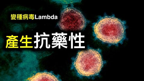 新加坡公布疫苗国家赔偿；Lambda變種可能產生抗藥性；以色列已接種學生1傳83令人擔憂⋯⋯