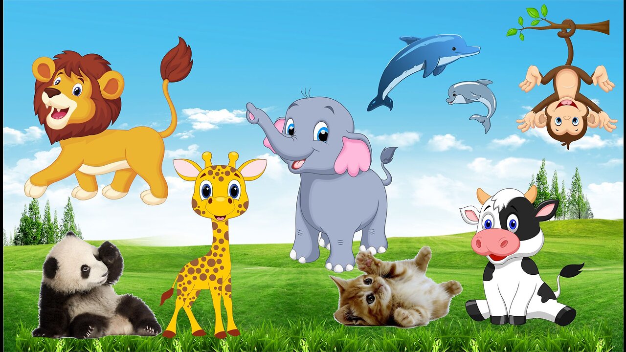 Animal Sounds! cow, Tiger, Lion,Elephant