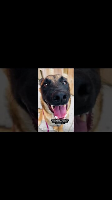 Smile more. Smile often. Never Stop Smiling.