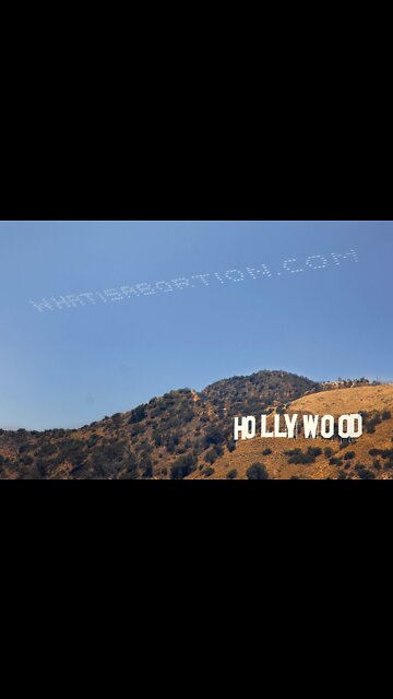 Imagine You Are A Baby In The Womb