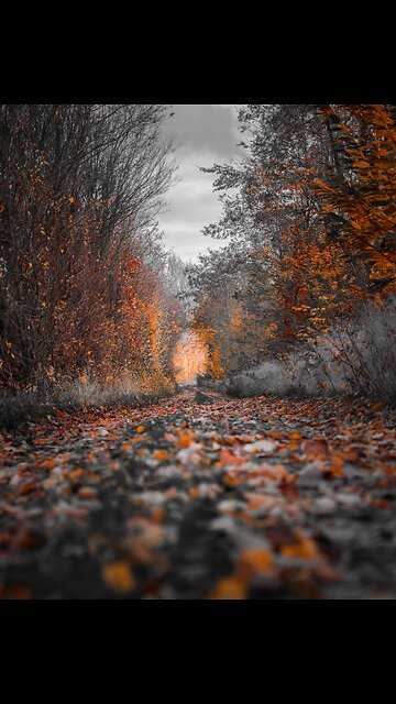 Will They Cancel Jesus Too?