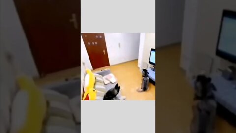 When you invite a girl to the house and suddenly your parents come home!