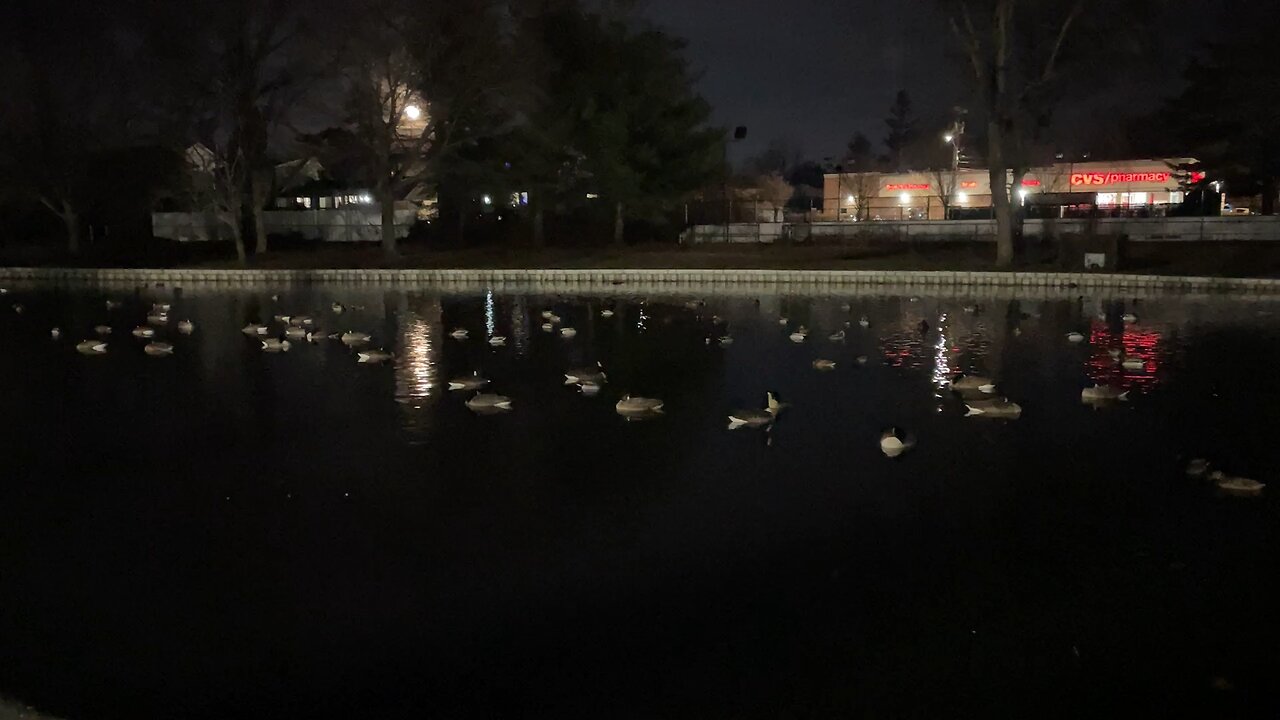 Halls pond at night