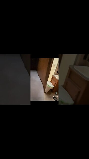 RV Walk Around Was So Gross 🤮Rotten RV #shorts #yuck #lol