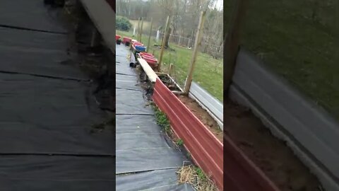 Update on garden layout.