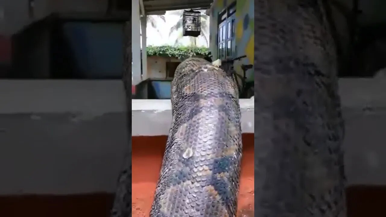 OMG like a nightmare!