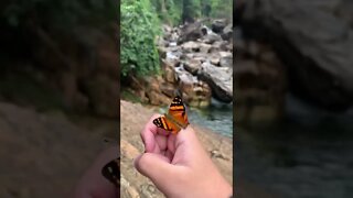 Belezas Naturais do ES