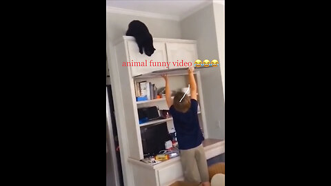 funny animals video 😂😅