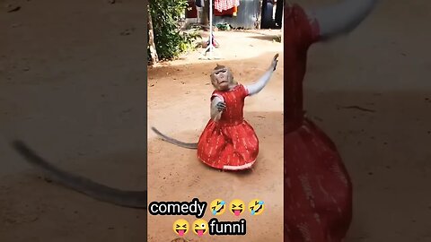 devendra kumar #musti #short #shorts #viral #tranding #viralvideo #comedy #monkey #baby