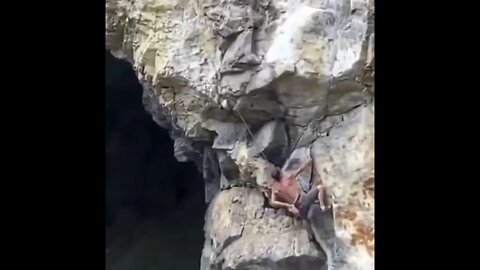 INCREVA POR FAVOR - ENTRETENIMENTO