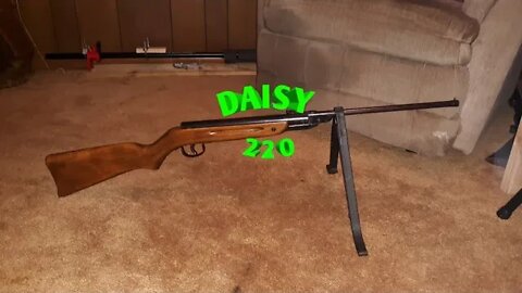 Daisy 220