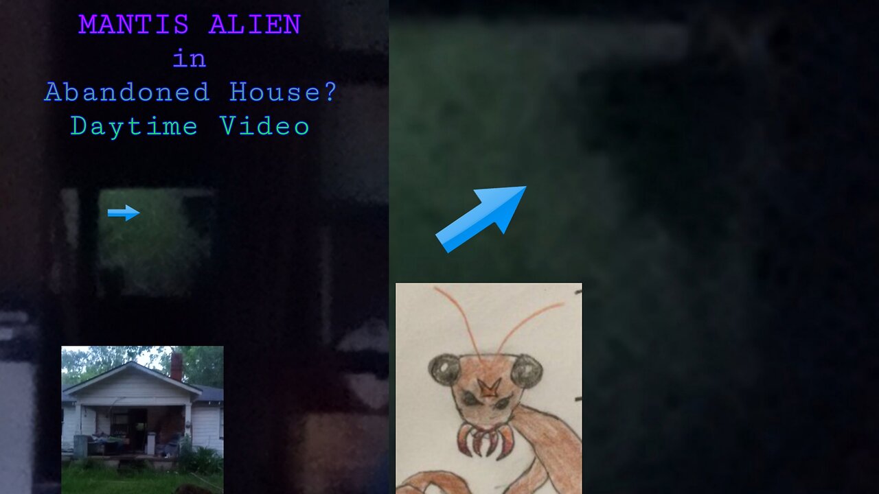 Praying Mantis Alien in Abandoned House? Daytime Video. It's Like IT Was Watching Me!