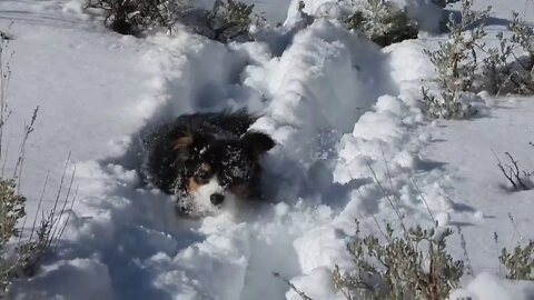 Kirye's Year Of Climate Change