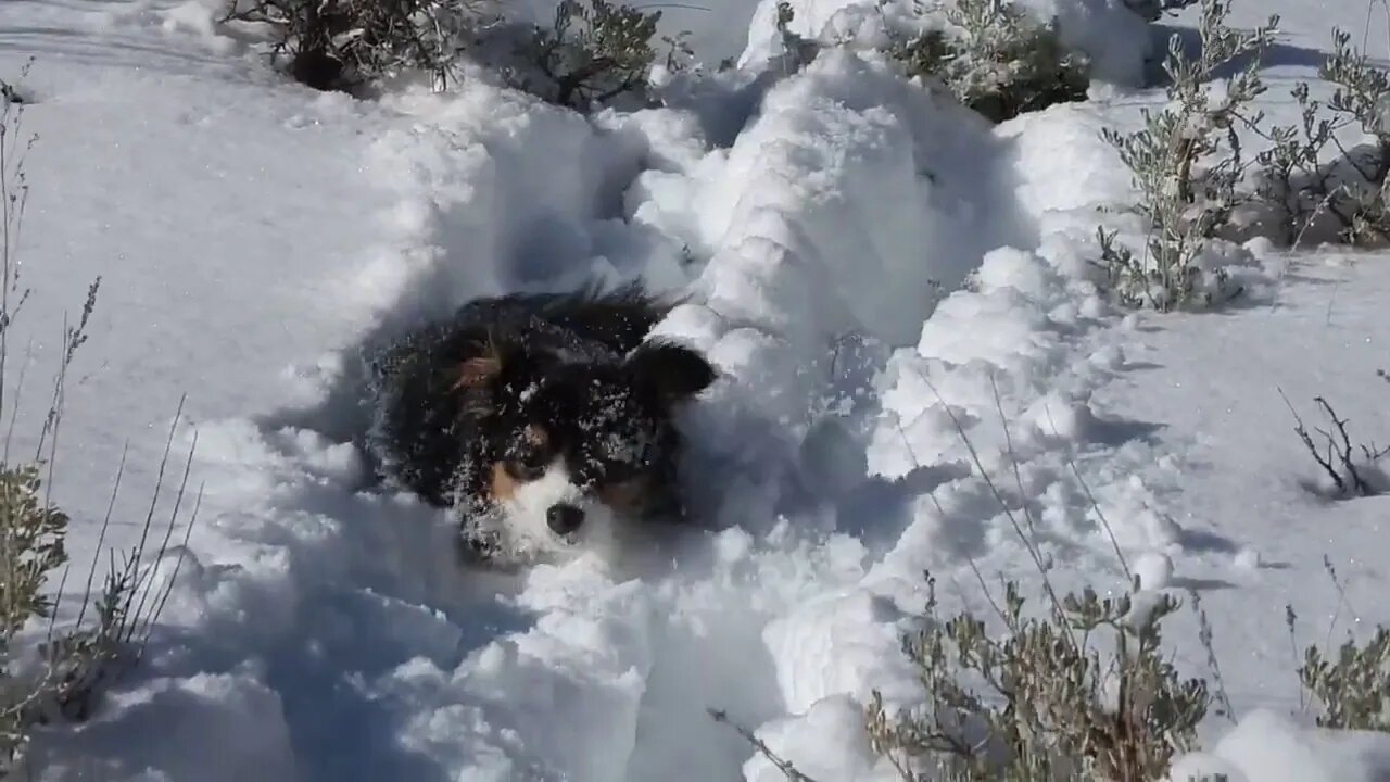 Kirye's Year Of Climate Change