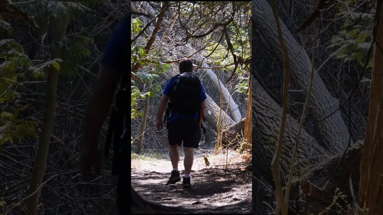 Hiking At Sylvan Glen