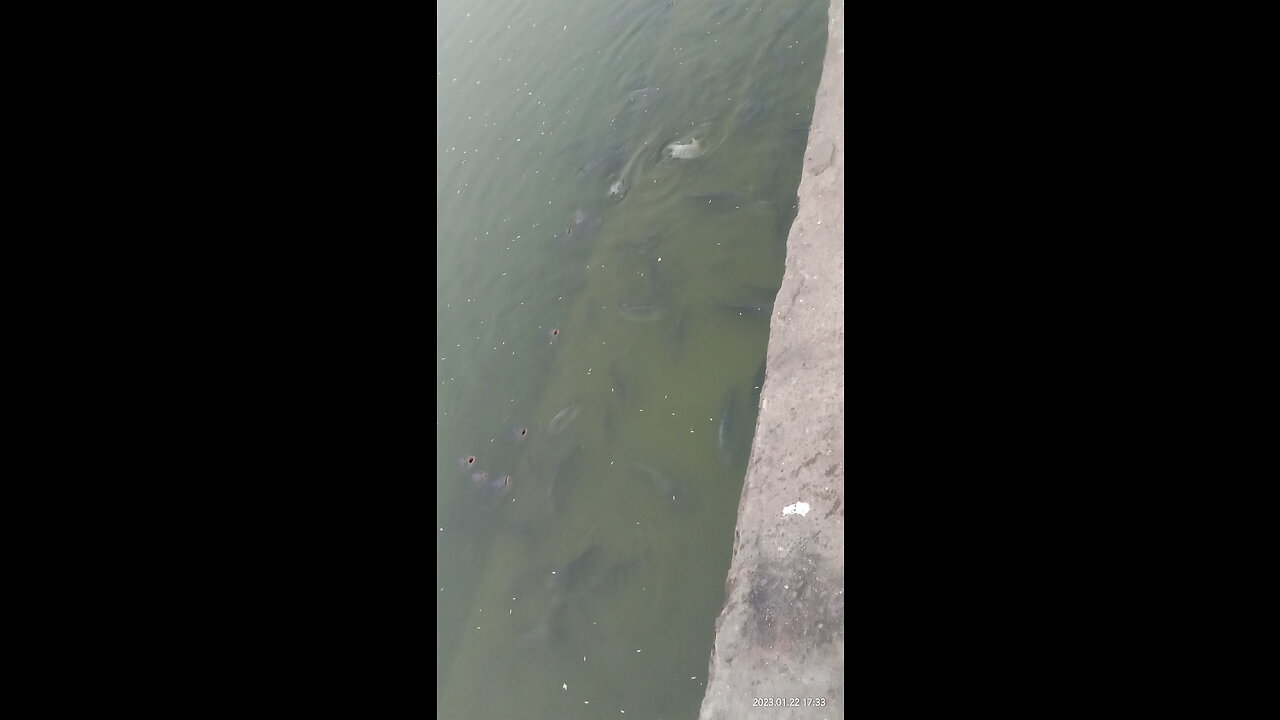 Rati diya bujha piya kya kya kiya bhojpuri song