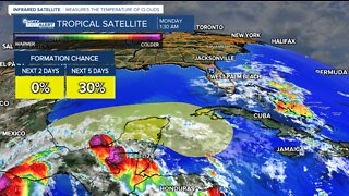 Tropical development possible next week in the Gulf