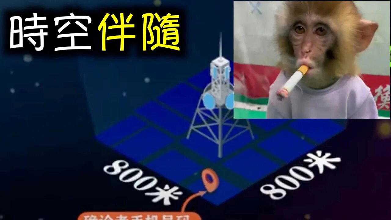 去上海迪士尼後直接「破產」,時空伴隨與動物園流量!#时空伴随