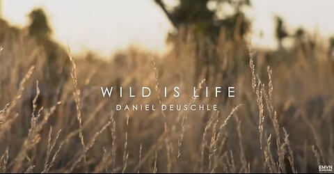 WILD IS LIFE - Most of Beautiful Nature Music by Daniel Deuschle