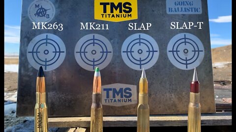 5/8" Titanium vs 50 Cal's Best Rounds AP, Raufoss, SLAP & SLAP-T