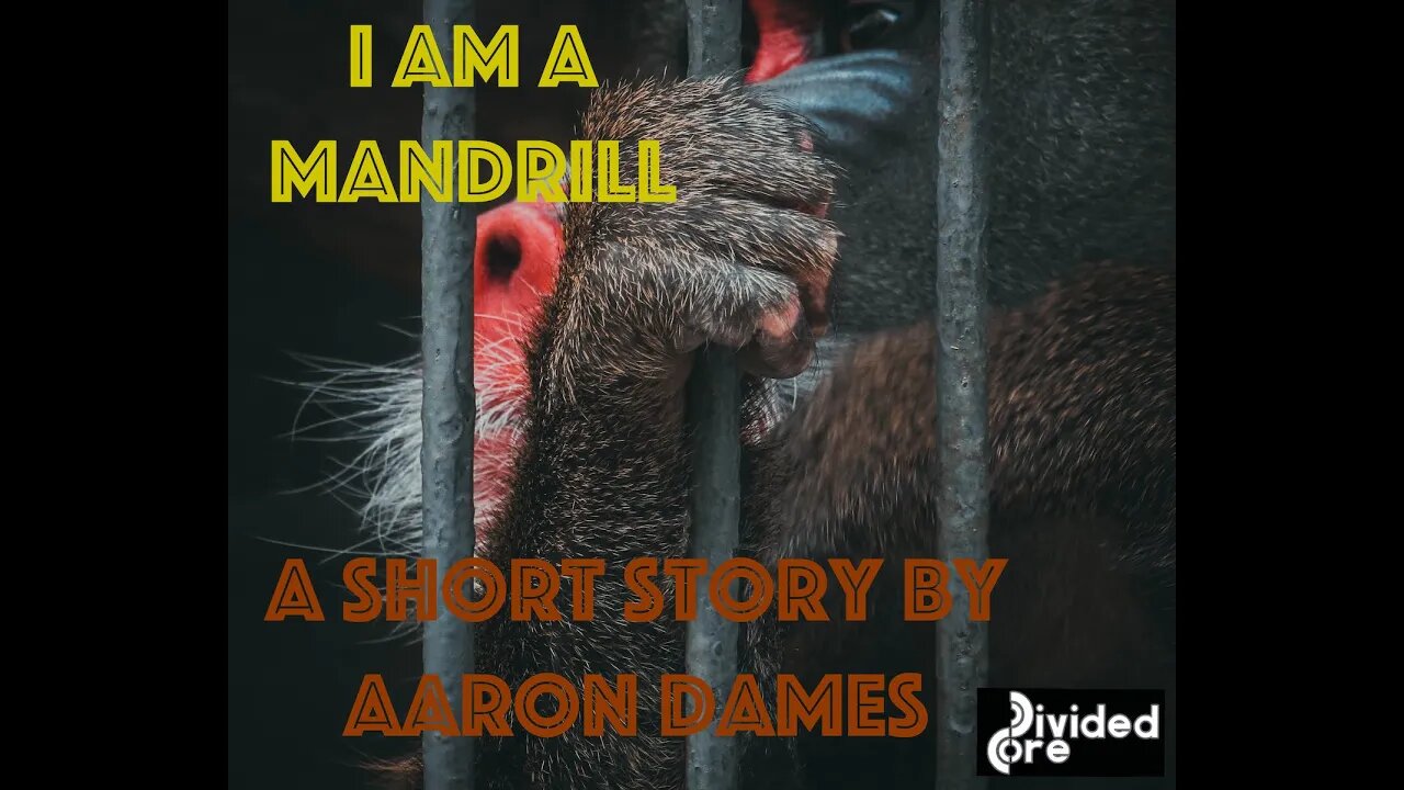 I am a Mandrill. A Short Story.