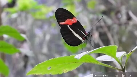 3974 Days Left For The Planet