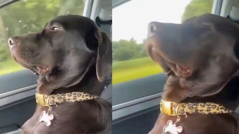 It's me when I am attending lectures