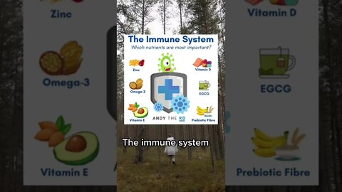 THE IMMUNE SYSTEM #shorts #healthy #wightloss #feetness #keto #keşfet #viral #tanding