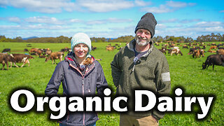 Inside the Gunninghams’ Organic Farm: 1,400 Dairy Cows, Pasture-Raised Eggs & Grassfed Beef