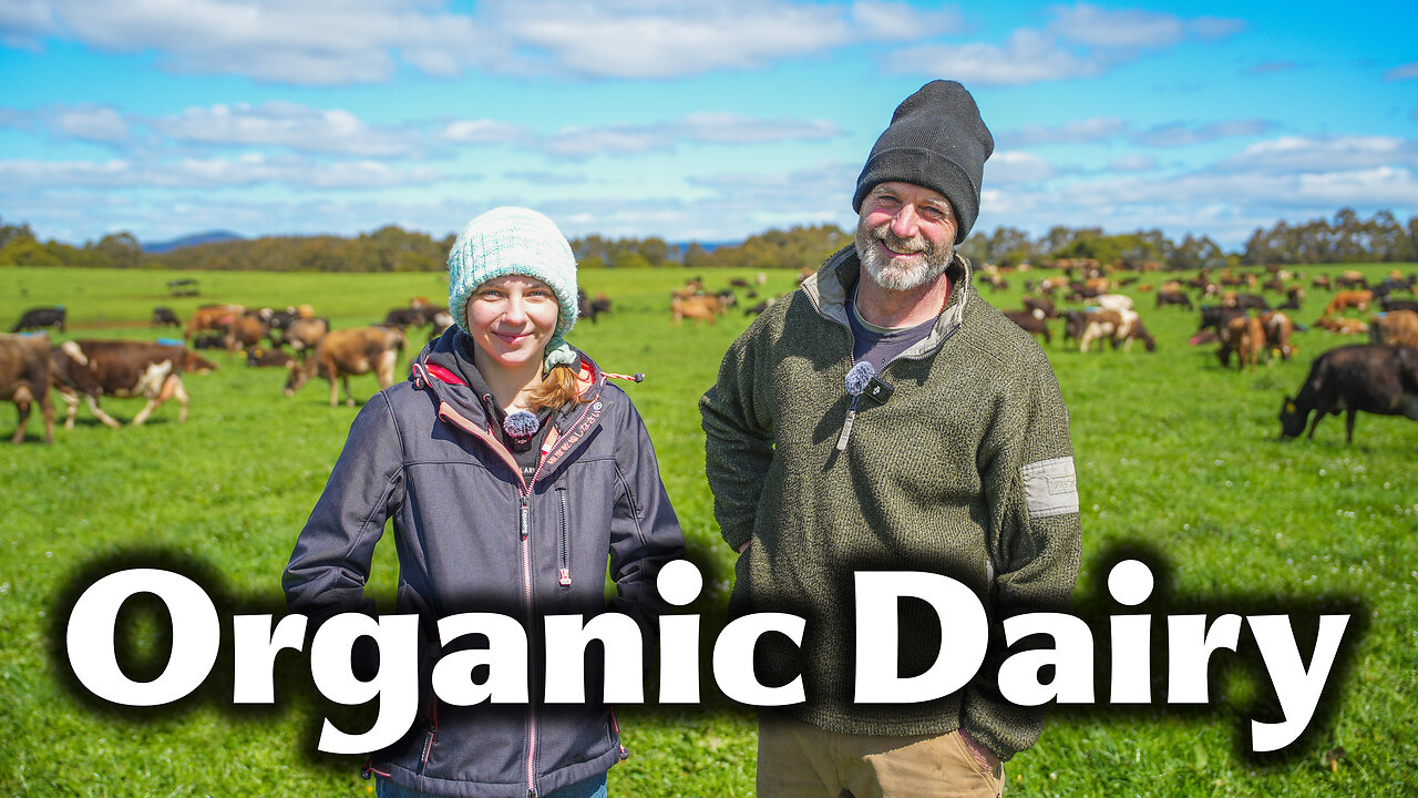 Inside the Gunninghams’ Organic Farm: 1,400 Dairy Cows, Pasture-Raised Eggs & Grassfed Beef