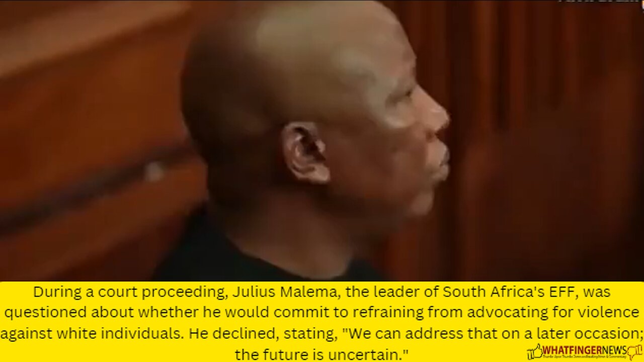 During a court proceeding, Julius Malema, the leader of South Africa's EFF, was questioned