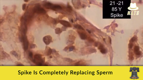 Spike Is Completely Replacing Sperm