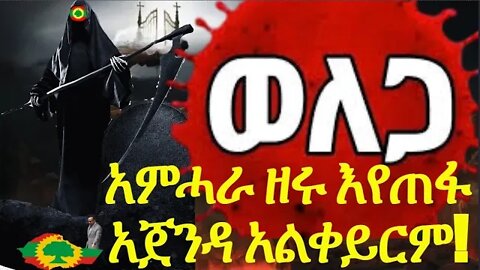 አምሓራ ዘሩ እየጠፋ አጀንዳ አልቀይርም!