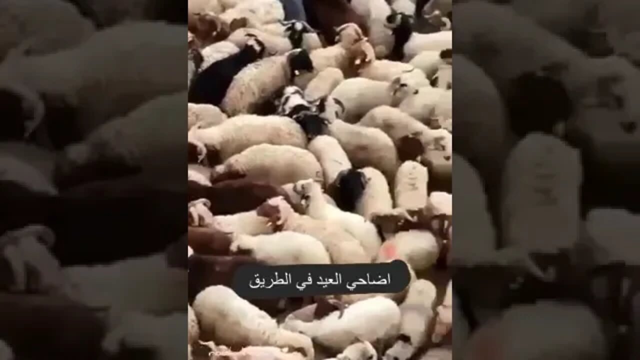 تبارك الله