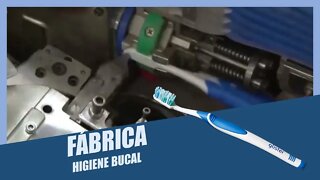 Escova de Dente: Como Ela é Fabricada - Por Dentro da Fábrica