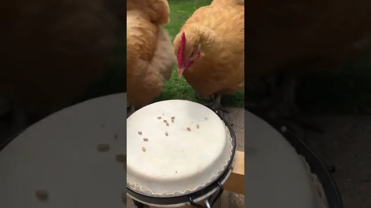 First day of band practice