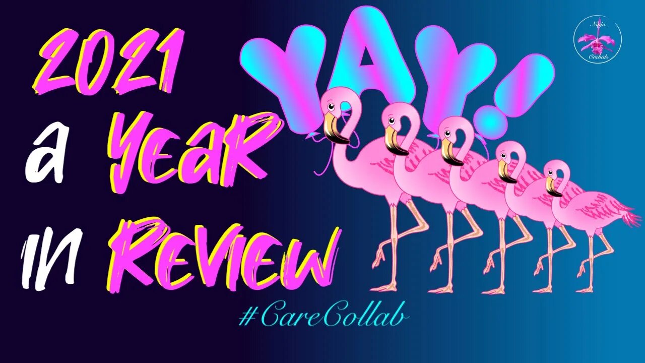 CareCollab 2021 | A Year in Review | History | Modus Operandi | Open Invitation #ShoutOuts 🥂💝🎉