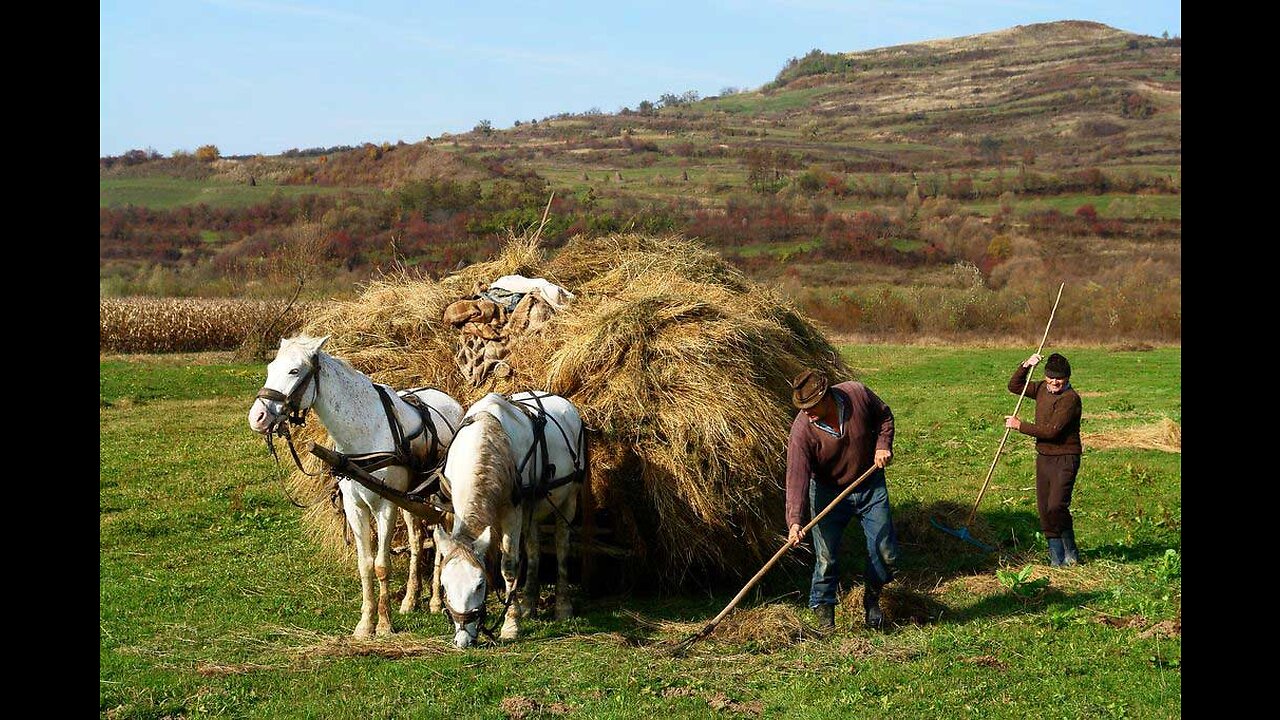 Habitatul - Agricultura, Apicultura si Protectia Animalelor