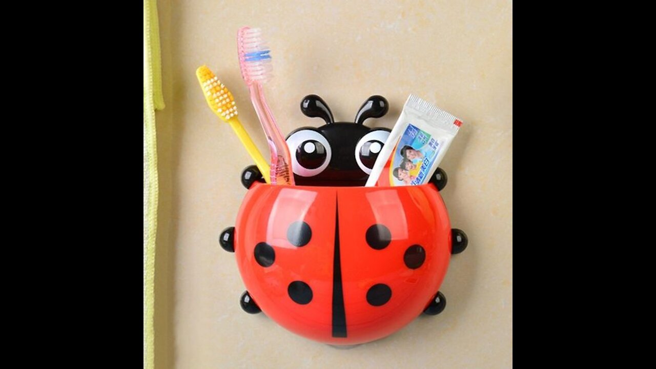 Toothbrush Holder