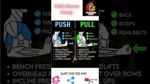 🔥Push exercise vs pull exercise🔥#shorts🔥#wildfitnessgroup🔥25 April 2022🔥